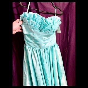 NWT- Pinup Unique Vintage Ruffle Bust Swing Dress